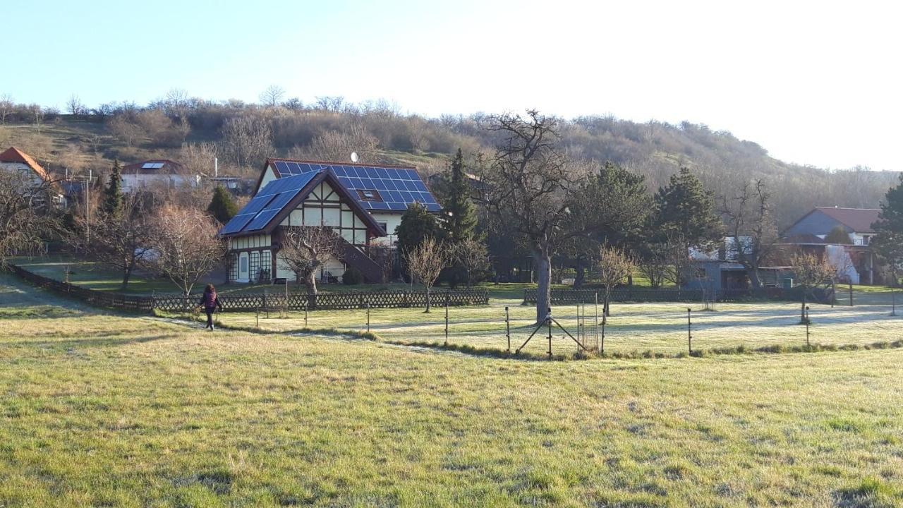 Ferienwohnung Zur Saaleaue Wettin Exterior foto