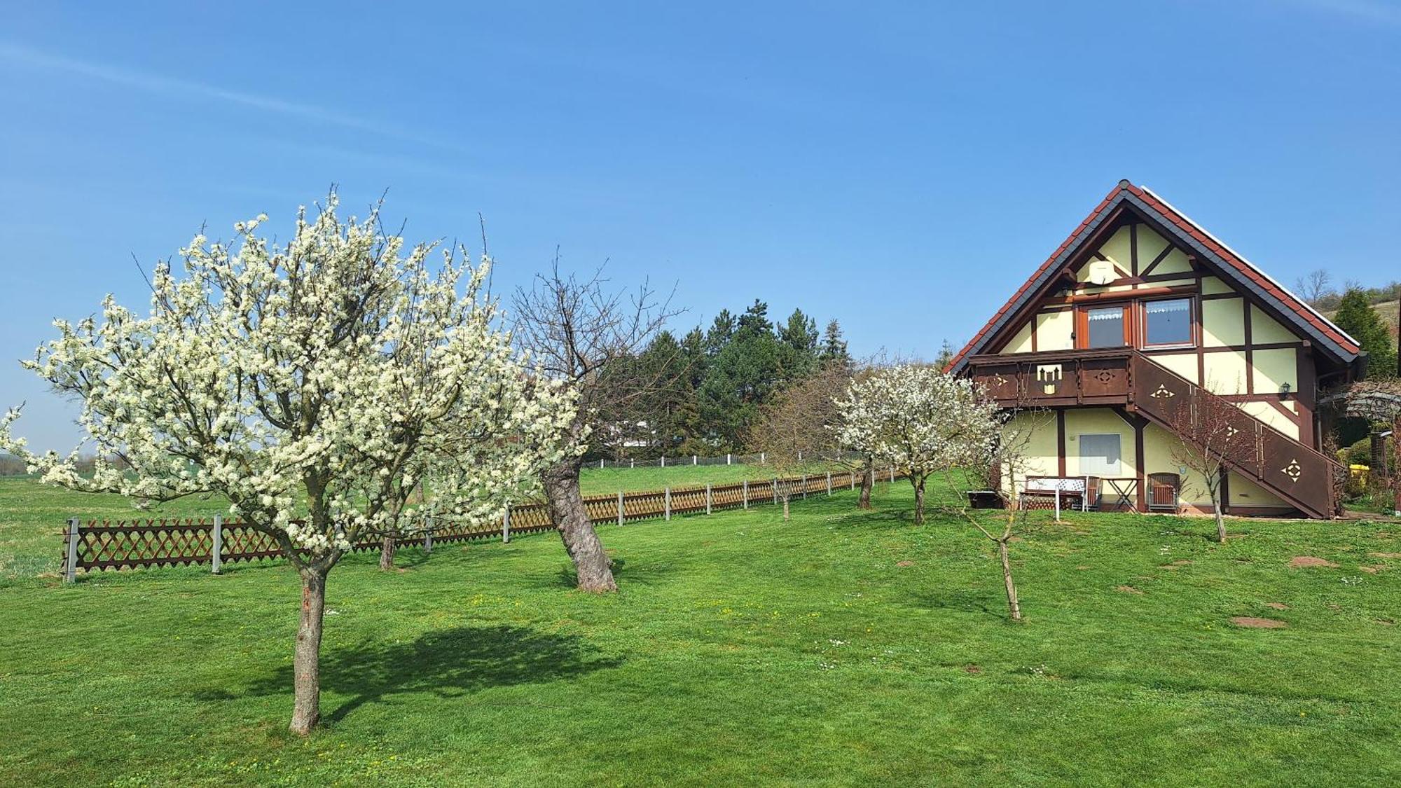 Ferienwohnung Zur Saaleaue Wettin Exterior foto